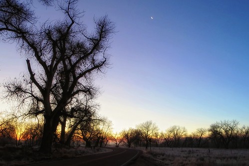 morning november trees light sunrise canon point frost shoot 330 pointandshoot moonset available hs elph leaveless 2013