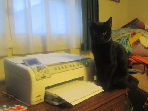 Guardian of the Printer