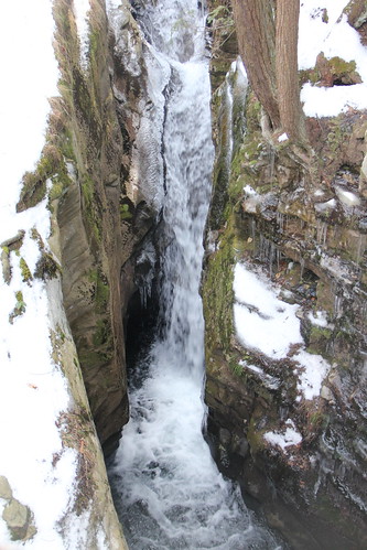 pennsylvania luzernecounty seventubsnaturearea waterfall