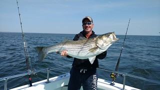 Photo of Man holding nice sized striped bass