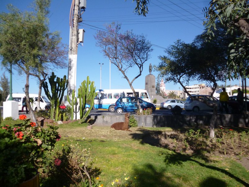Morning traffic on Puento Grau in Arequipa. (Do you see the alpaca?)