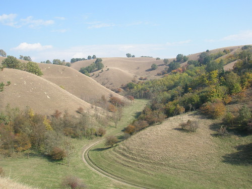 autumn serbia hills deliblatskapescara deliblatskasandstone
