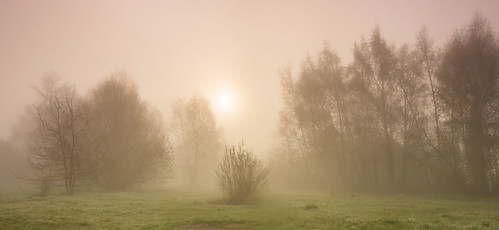 attenborough nature reserve nottingham fog mist poplars sunrise dawn neutral density graduated filters goo bad julian barker canon dslr uk england