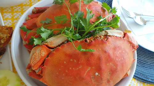 steamed dungeness crab