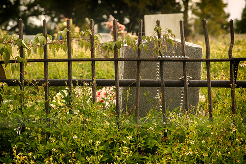flowers nature cemetery fence beads graveyards neworleans graves mardigras indigent hff holtcemetery