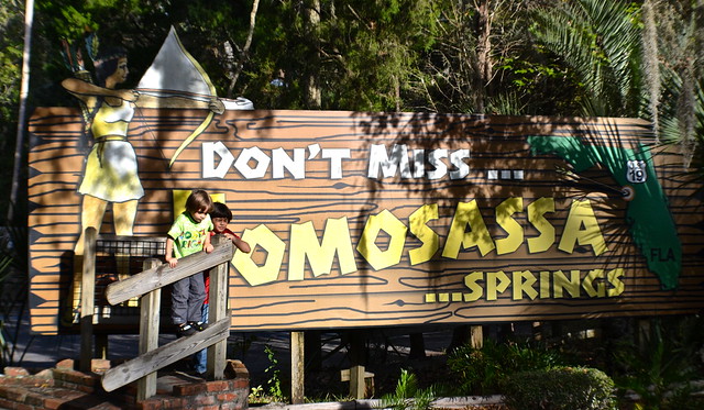 Homosassa Springs Wildlife State Park – Not Your Typical Park