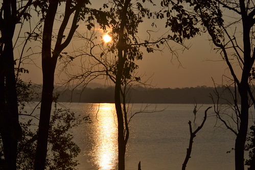 sunrise backwater shimoga sakrebail flickrandroidapp:filter=none