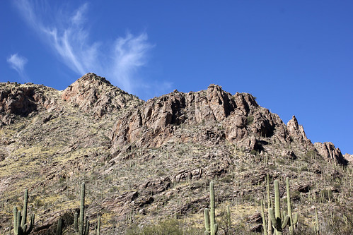 nature naturaleza landscape paisaje paisajem desert desierto mountains montañas santacatalinamountains saguaro cactus