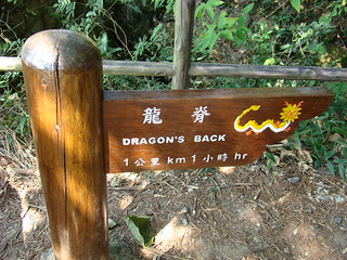 06 Bord Dragon's Back
