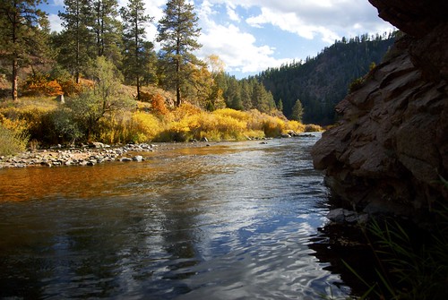 autumn trees color reflection nature water rock river colorado outdoor scenic sunny southplatteriver westdouglascounty