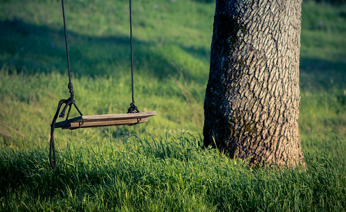 d7200 eldoradocounty eldoradohills nikon landscape oaktree tree ©bradmaberto swing