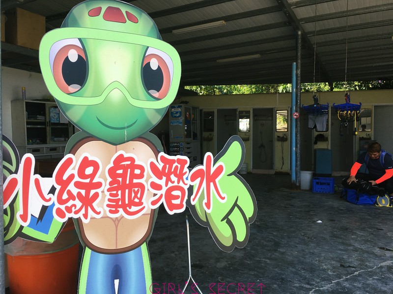 小琉球綠蠵龜潛水 PADI 潛水證照