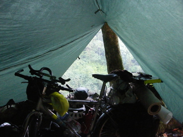 Everything under the tarp on a rainy morning