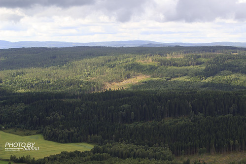 forest canon eos view sweden värmland 600d tossebergsklätten canoneos600d