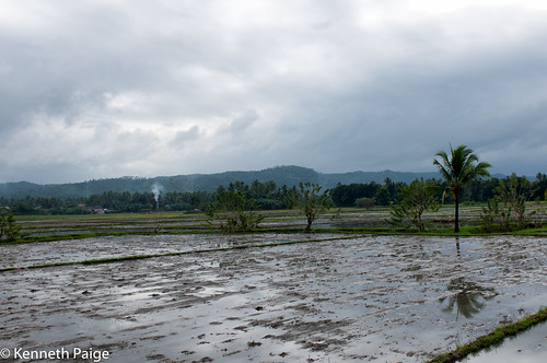 philippines roadtrip tourists laguna sanpablo coconutplantation villaescuedero