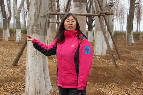 河南鄭州的古樹保護運動志願者彭保紅。（圖：林吉洋）