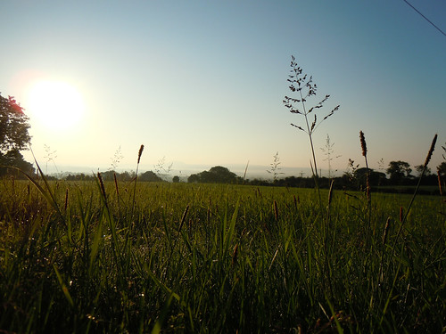 sun field grass sunrise nikon unitedkingdom coolpix northernireland nikkor ahoghill s8000