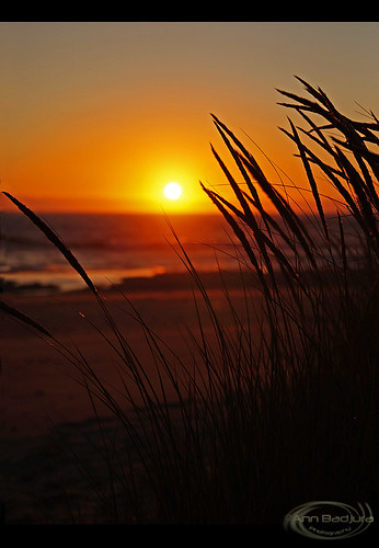 ocean sunset usa beach grass oregon landscape scenery view oregoncoast lincolncity