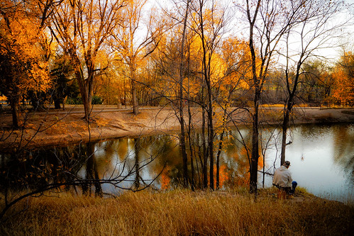 autumn trees lake fish fall oklahoma water landscape