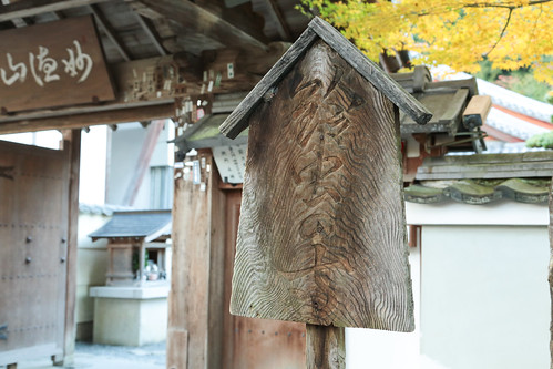 鈴虫寺 Suzumushi-temple