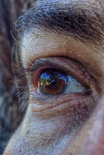 portrait macro eye public southaustralia millicent procamera