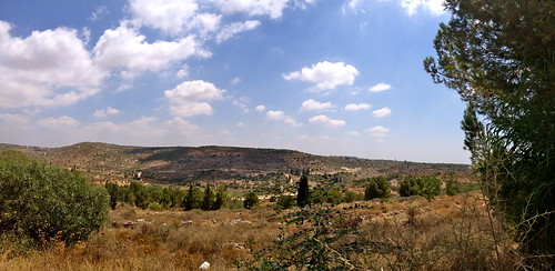 nature landscape israel