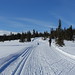 Lillehammer crosscountry ski trip