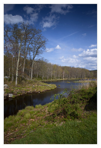 lake hudsonvalley harrimanstatepark harriman hiking nature spring newyork ny canon forest forestbathing relax sunburst silverminelake