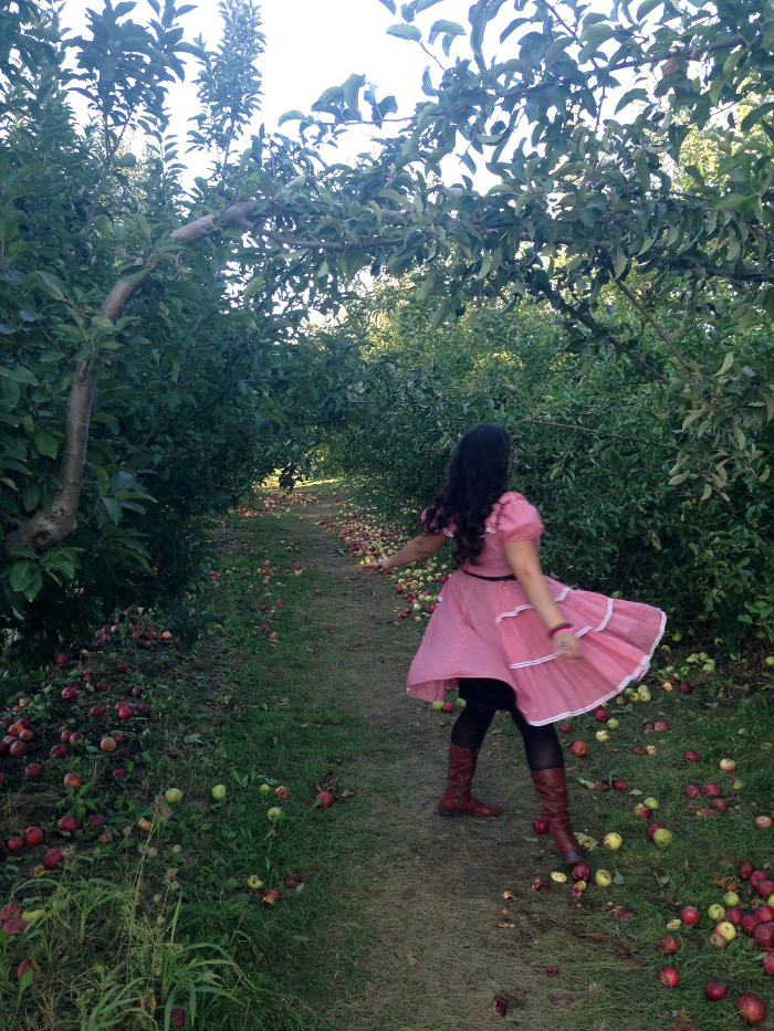 Autumn Traditions: Apple Picking at County Line Orchard