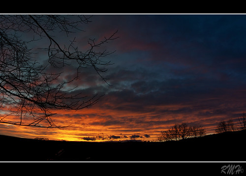 uk trees sunset sun colour colors clouds dark scotland aberdeenshire tarves ythanbank