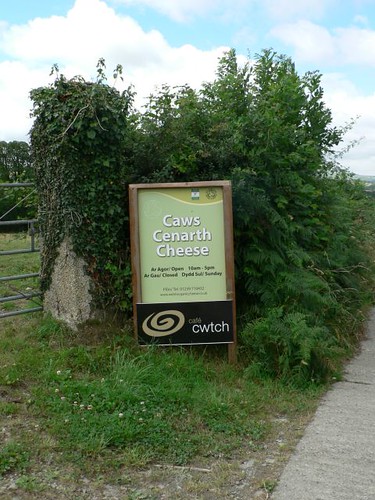 Cheese dairy in Wales - Caws Cenarth 001
