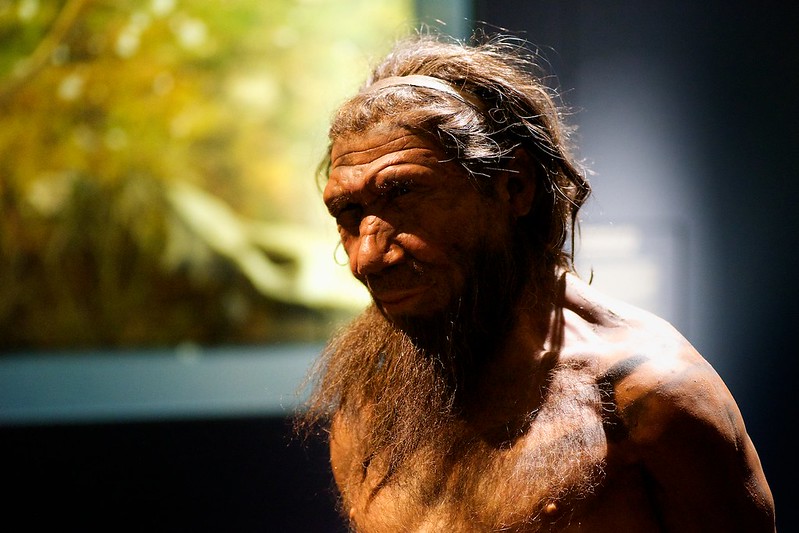 Our Cousin -Neanderthal