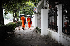 Monks, Vientiane Laos