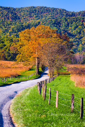road park blue autumn sky mountains tree fall nature beauty field grass rural fence landscape outdoors countryside vanishingpoint nationalpark wire afternoon seasons cove tennessee scenic sunny farmland national pasture lane barbedwire hyatt smokies cadescove fenceposts cades greatsmokymountainsnationalpark