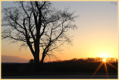 trees sunset sun nature wisconsin canon spring silhouettes sunburst cambria springtime picmonkey:app=editor