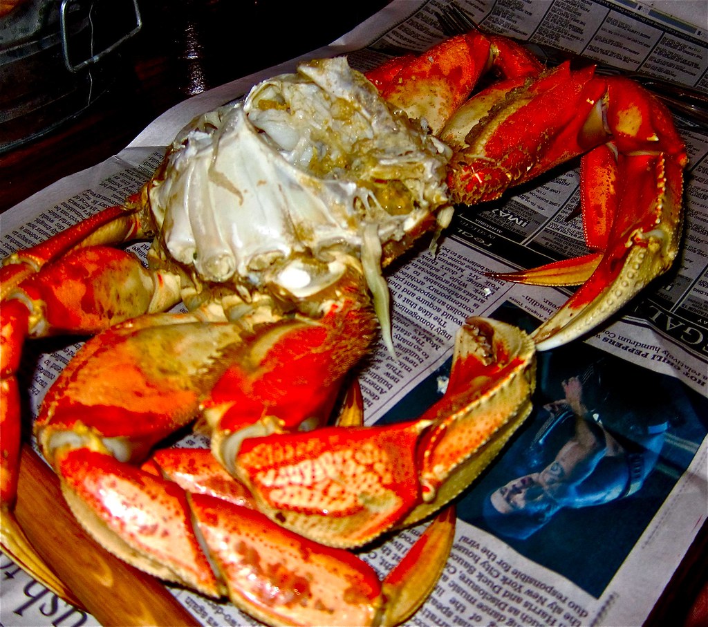 huge Dungeness crab