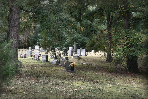 oakgrovecemetery southerncemetery historiccemetery tennesseecemetery tennesseehistory trezevanttennessee carrollcountyhistory trezevanttennesseecemetery westtennesseecemetery carrollcountytennesseecemetery