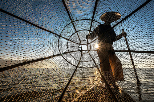 sunset sun lake fish silhouette boat fisherman leg rowing myanmar inle shan fishery taunggyi nyaungshwe