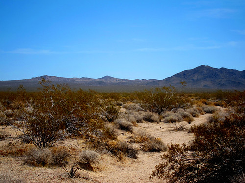 landscape day desert clear mojave