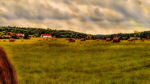 sky field skyline clouds barn landscape scenery farm kentucky scenic hay