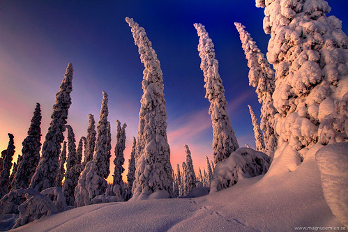 blue winter sunset sky mountain snow cold nature canon landscape evening crystals forrest sweden hiking tracks trails freezing lapland northern spruce snowcovered norrland gällivare