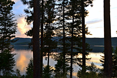 trees sunset vacation pets sun lake man dogs water montana september whitefish relaxation reflexions kalispell 0334 littlebitterrootlake littlebitterrootlakemt