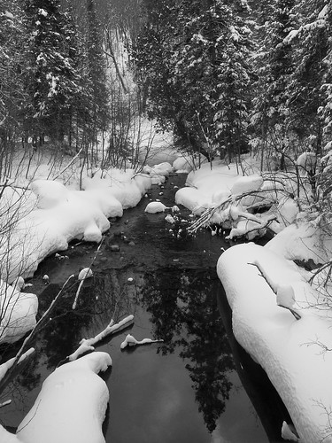 winter snow creek forest soo spruce crosscountryskiing saultstemarie springthaw algoma stokelycreek algomahighlands algomadistrict stokelycreeklodge