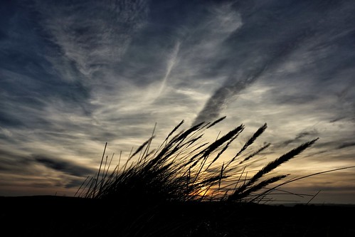 sunset sunrise newburgh newburghbeach aberdeenshire scotland flickr silhouette sky