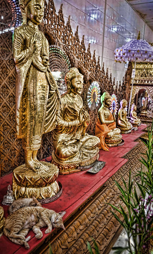 buddhas burma cats chaukhtatgyibuddhatemple holidays lightroom myanmar onestoptraveltours topazlabs yangon
