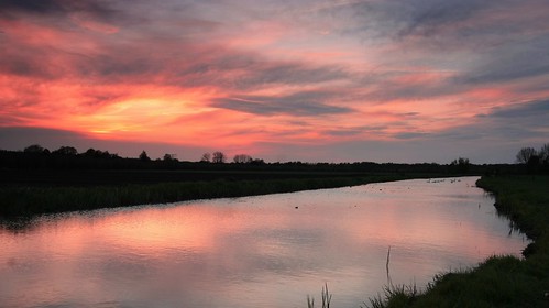 sunlight sunset polder netherlands sky water reflections mirror nature haarrijn landscape orange dusk swan