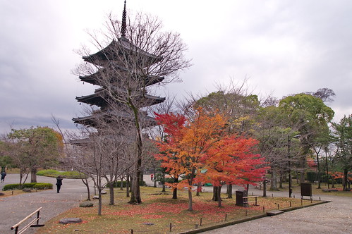 【写真】2012 紅葉 : 東寺/2021-09-01/IMGP8352