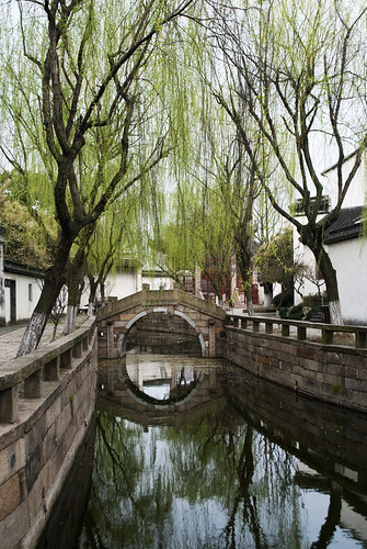 china street trees urban building tree water architecture buildings asian town canal asia village shanghai chinese streetshots streetphotography canals eastasia tongli eastasian chinesearchitecture