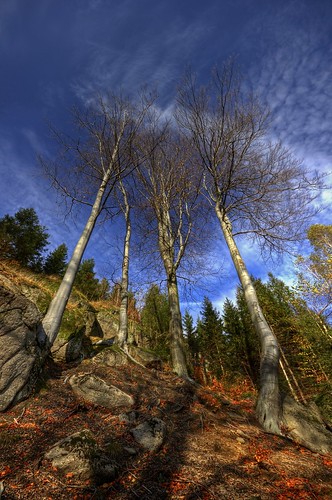 autumn trees mountains rock canon landscape eos tschechien czechrepublic hdr jizerky isergebirge 550d
