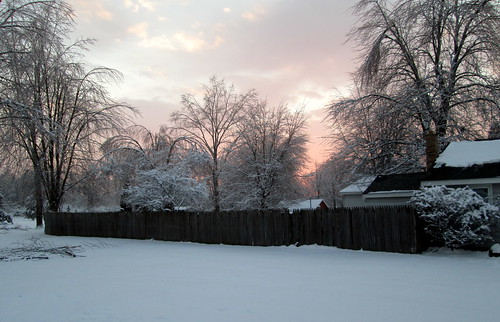 trees winter sunset sky snow ice